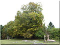 St John the Baptist, Pebmarsh: churchyard (5)