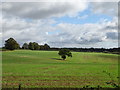 Farmland near Aynho Fields