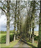 SP5833 : Tree lined track to The Slade Farm by JThomas