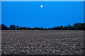 Ruishton : Ploughed Field