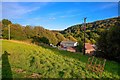 Huish Champflower : Grassy Field & Sheep