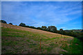 Huish Champflower : Grassy Field