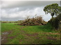 Fields east of Templeton