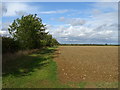 Field margin near Charlton House Farm