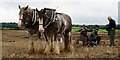 TQ0845 : Surrey County Ploughing Match 2019 by Peter Trimming