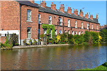 SJ4166 : Houses in Kimberley Terrace, facing onto the canal by David Martin
