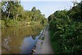 Coventry Canal towards bridge #9