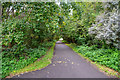 Newcastle-Under-Lyme : Footpath