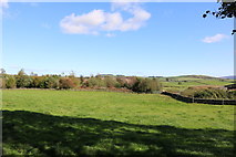 NX7869 : Farmland at Kirkpatrick Durham by Billy McCrorie
