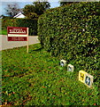 Markers in grass at the edge of a hedge, Maes Brynglas, Peniel, Carmarthenshire