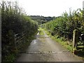 Track to Old Tilery Cottage