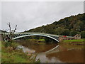SO5305 : Bigsweir Bridge, Wye Valley by Colin Cheesman