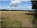 SP0148 : Farmland near Sheriff's Lench by Philip Halling