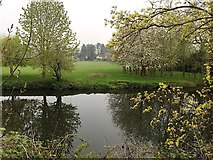 SP2965 : Spring by the River Avon south of Mercia Way, Warwick by Robin Stott