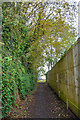 Brierley Hill : Footpath