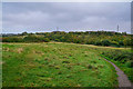 Brierley Hill : Fens Pool Local Nature Reserve