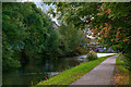 Wordsley : Stourbridge Canal