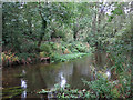 The River Colne upstream of coal tax boundary post no.66