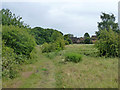 Path, Roundshaw Downs