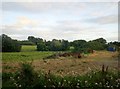 Valley of the Kilkeel River below the A2