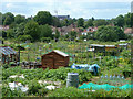 Demesne Road Allotments