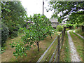 Apples, Lower Rawtenstall