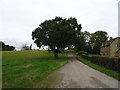 Track (footpath) towards Sweet Knowle Farm