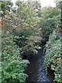 The River Colne, just above its confluence with the River Thames