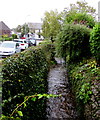 Vigorous Rhydwaedlyd Brook, Rhiwbina, Cardiff