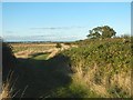 Public Footpath at Howlands Marsh