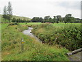 Stream  through  Woll  Golf  Course