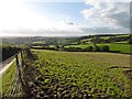 Farmland above Hurscott