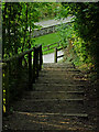 Steps by the Middlewood Way near Higher Poynton, Cheshire