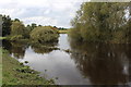 Flooded River Wharfe in Ryther