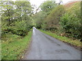 Tree-lined minor road near to Leacantuim in Glen Coe