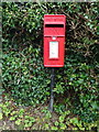 Elizabeth II postbox on Hawk