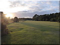 On part of the golf course at Burley in the New Forest