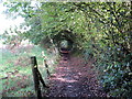 Llwybr i Gronfeydd Cwmoernant / Path to the Cwmoernant Reservoirs