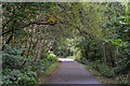 Silverdale : Footpath