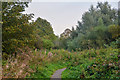 Newcastle-Under-Lyme : Footpath