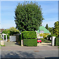 Green tiles on Holbrook Road