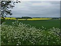 English countryside near Woodsetts