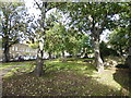 Former Stepney Meeting Burial Ground, White Horse Road