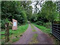 A track into Bagley Wood