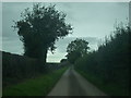 SO5749 : Lane at Felton by Fabian Musto
