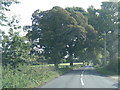 B5087 near Harebarrow Cottage