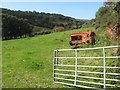 Pasture at Manor Parsley