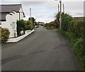 Houses and hedges, Little Mountain Road, Buckley