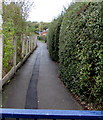 Path to Buckley railway station