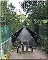 Footbridge in Jervis Lum (Woodland)